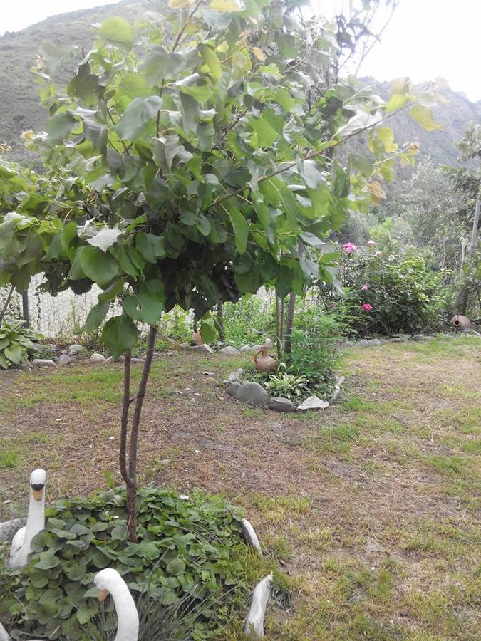 Villa Piano Mtsʼkhetʼa 외부 사진